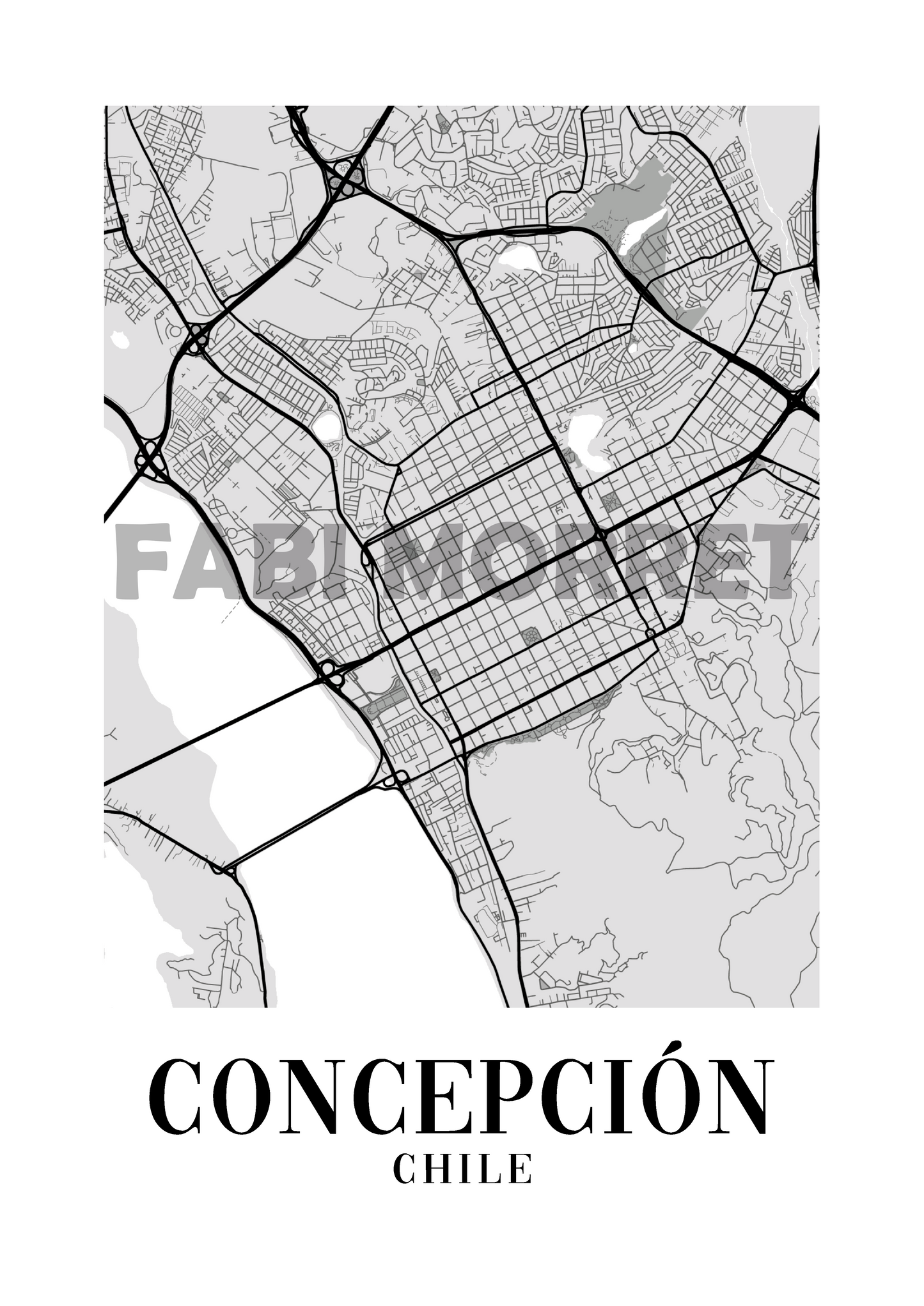 [Cuadro] Concepción - Ciudades Monocromáticas