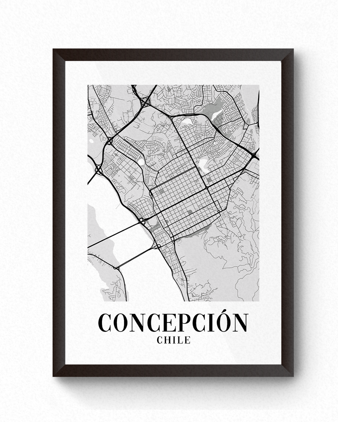 [Cuadro] Concepción - Ciudades Monocromáticas